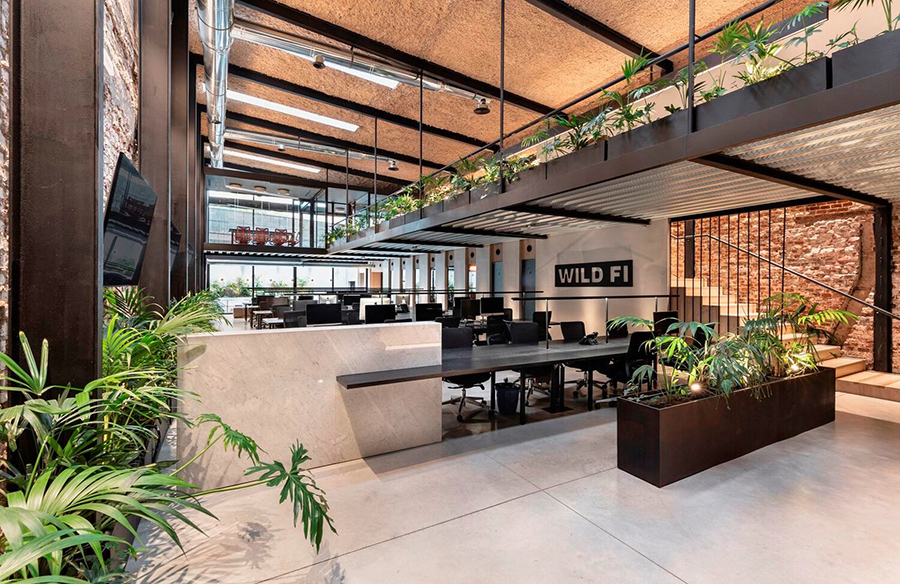 Integrating Spaces: The Vision Behind Wild Fi Offices